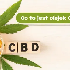 Butelka z olejkiem CBD i kapsułki, liście konopi, kostki z napisem CBD. Dowiedz się, olejek CBD na co pomaga i jak działa.