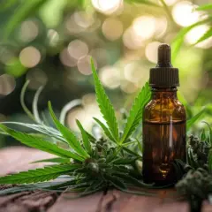 Bursztynowa buteleczka z olejkiem konopnym, otoczona liśćmi i kwiatostanami konopi. Naturalne kannabinoidy w zasięgu ręki.
