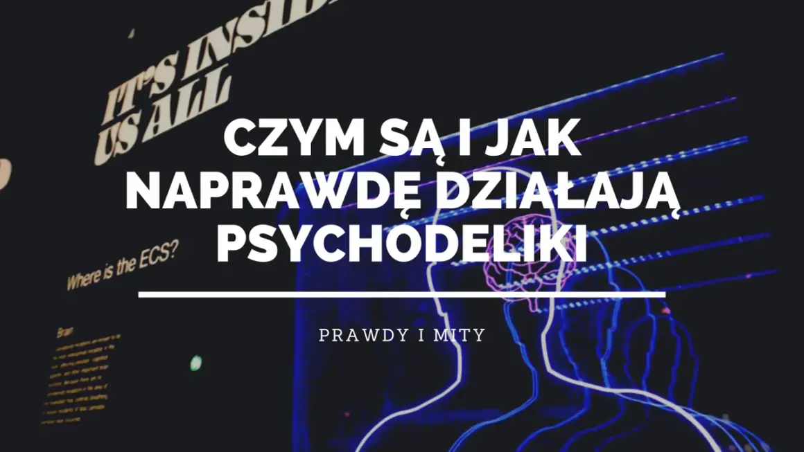 Czym są i jak naprawdę działają psychodeliki? Grafika przedstawia schematyczne sylwetki ludzi i mózg, sugerując eksplorację umysłu.