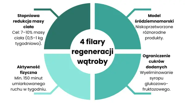 4 filary regeneracji wątroby: redukcja masy ciała, aktywność fizyczna, dieta śródziemnomorska i ograniczenie cukrów. Kluczowa jest stłuszczenie wątroby dieta.