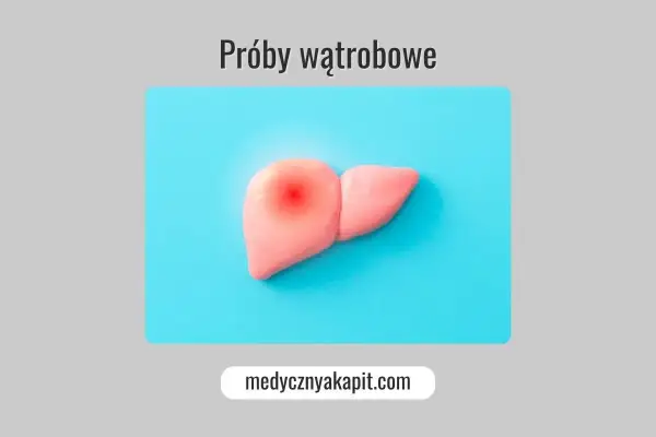 Model wątroby z czerwonym bólem. Tekst: "Próby wątrobowe". Podwyższone próby wątrobowe objawy mogą być niepokojące.